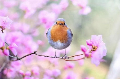 2020年陰歷三月十八黃歷日子適合出行出遠門嗎?(圖文)