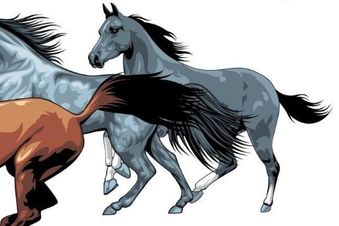 2014年屬馬的人2021年運(yùn)勢(shì) 8歲佩戴什么吉祥物好