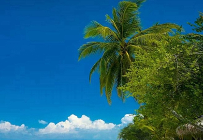 2020年陰歷三月十九適合出行嗎，4月11日沖什么生肖？(圖文)