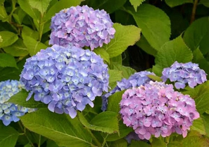 2020年陰歷四月廿三不宜出行嗎,4月15日卦象吉兇解析!(圖文)