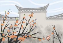 女人有美人尖一生命運如何 美人尖詳解