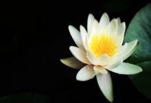 2020年陰歷三月十七(4月9日)日子適合破土遷墳嗎?