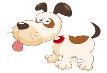 1994年屬狗的人2021年運(yùn)勢(shì) 28歲佩戴什么吉祥物好