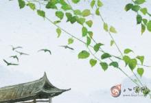 入戶門對面墻掛畫禁忌有哪些