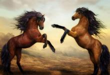 1978年屬馬的人2021年運勢 44歲佩戴什么吉祥物好