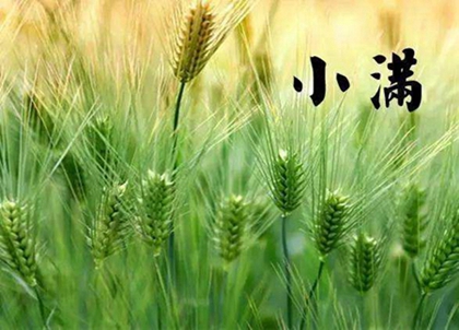 2020年四月廿八-小滿節氣出行好嗎,2020小滿溫度有多少?(圖文)