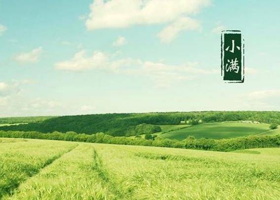 2020年四月廿八-小滿節氣出行好嗎,2020小滿溫度有多少?(圖文)