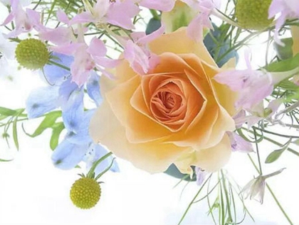 2020年四月廿一日子出行好嗎,5月13日卦象解析!(圖文)