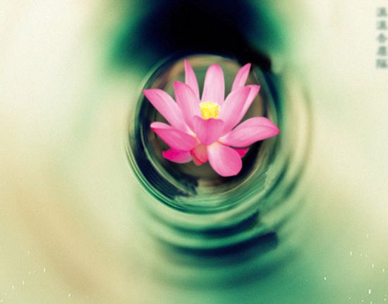 午時出生的男孩命運