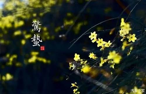 驚蟄節氣出生的屬猴人是什么命 命格好不好?(圖文)