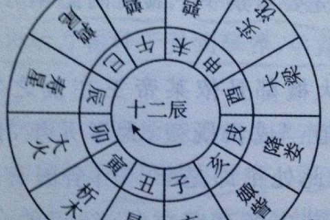 麥玲玲獨家:2021年12生肖運勢詳解