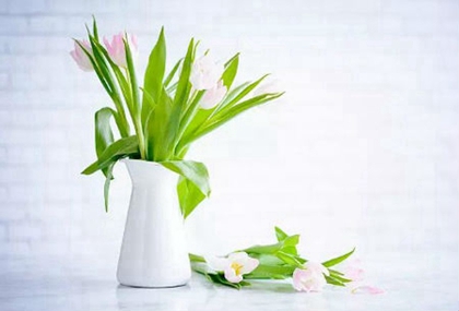 2020年陰歷四月廿二不宜修墳嗎，今日12時(shí)辰宜忌解析！(圖文)