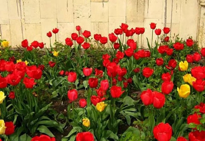 2020年四月廿一日子出行好嗎,5月13日卦象解析!(圖文)