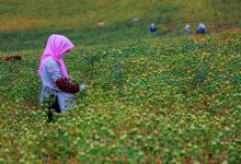 距離2020年五一還有幾天?這一天黃歷怎么樣?