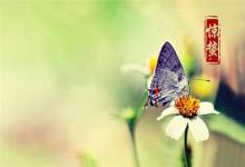 屬馬驚蟄節氣出生的人是什么命?命運好不好?