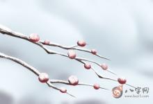 今年犯白老虎是什么意思