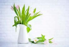 2020年農(nóng)歷四月二十五不宜修墳嗎,陰宅修墳風水解析!