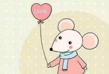 屬鼠2020年出生在幾月份優(yōu)秀命?陰歷