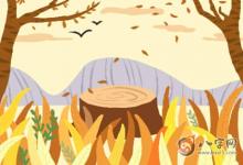 為什么父母本命年不能結婚