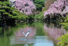 2020鼠年閏四月還會倒春寒嗎 倒春寒是什么意思?