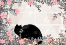 白虎煞是什么意思 白虎煞詳解