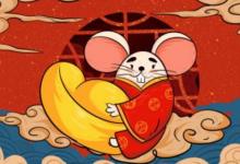 屬鼠人命運如何 2020年屬鼠的運勢好嗎