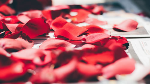 丹尼爾本周星座運勢(2017年9月4日-9月10日)(圖文)