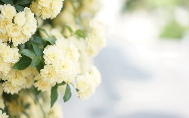 2019年農歷六月十九是巨蟹座嗎?巨蟹座的人2019年事業運勢如何?(圖文)