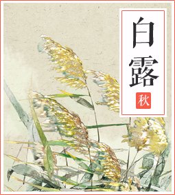 白露