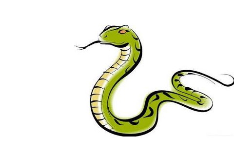 今年屬蛇的人多少歲,屬蛇的2020年幾歲了