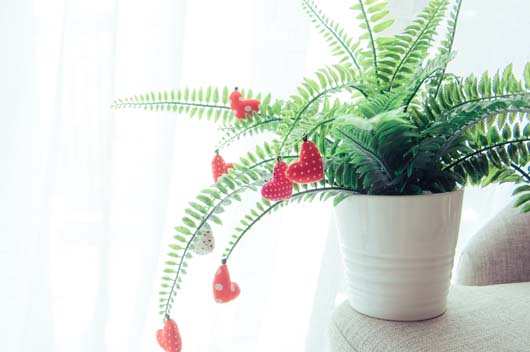 屬猴的人愛情怎么樣，有什么樣的愛情觀