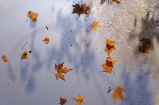 屬龍的人2019年12月運(yùn)勢(shì)