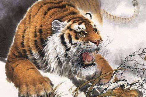 屬虎男2021年全年運(yùn)勢及運(yùn)程,屬虎人2021年佩戴什么飾品最旺