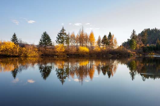 屬鼠2019年11月運勢查詢