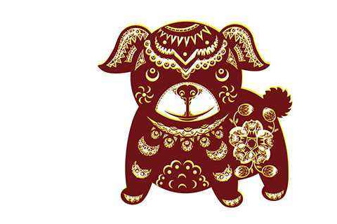 今年屬狗的人多少歲,屬狗的2020年幾歲了