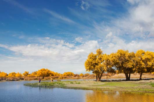 12生肖2019年11月運勢