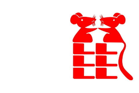 2020年屬鼠本命年適合換工作好嗎，事業順利嗎