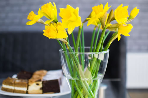 12星座今日運勢(2017年09月07日)(圖文)