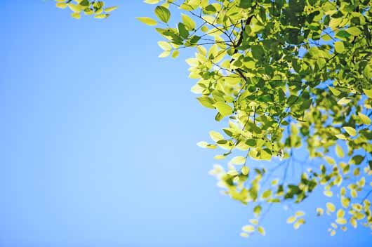 屬虎的人2019年4月生肖運勢