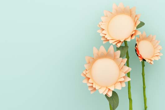 屬牛的2019年8月運(yùn)勢查詢