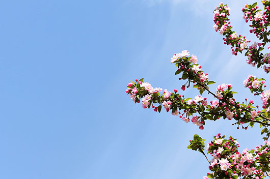 屬馬的人2020年5月運勢