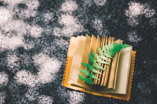 1996年出生屬鼠的2020年運勢完整版