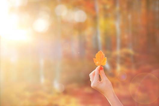 屬牛的人2019年9月運(yùn)勢(shì)