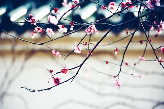 屬猴的人2020年5月運勢如何