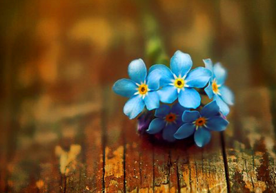 2019年農歷六月十九是巨蟹座嗎?巨蟹座的人2019年事業運勢如何?(圖文)