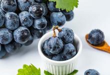 12生肖一周健康運(yùn)0203-0209