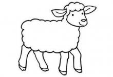 屬羊人2021年佩戴什么開運(yùn)吉祥物好?男性女性牛年屬羊的帶什么招財(cái)運(yùn)