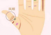 鳳眼紋一端未閉合,什么是鳳眼紋