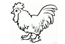 屬雞人2021年佩戴什么開運吉祥物好？男性女性牛年屬雞的帶什么招財運