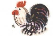 今年屬雞的人多少歲,屬雞的2020年幾歲了